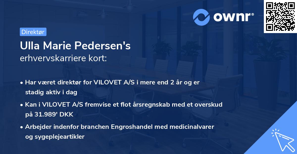 Ulla Marie Pedersen's erhvervskarriere kort