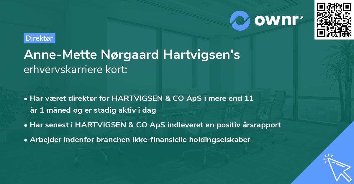 Anne-Mette Nørgaard Hartvigsen's erhvervskarriere kort