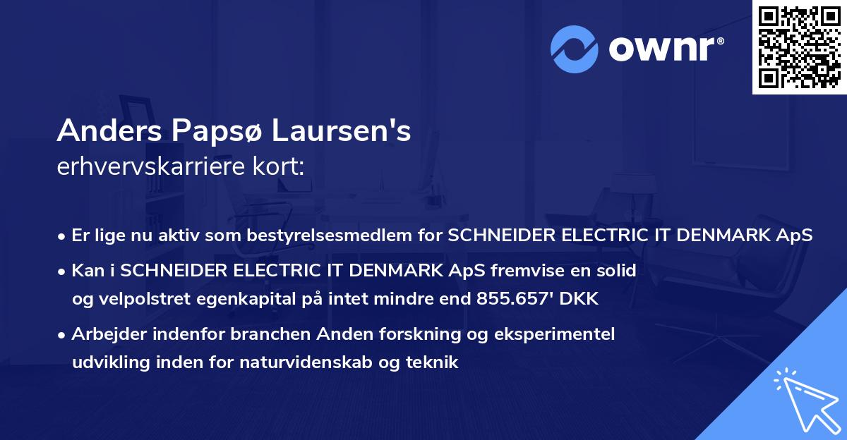 Anders Papsø Laursen's erhvervskarriere kort