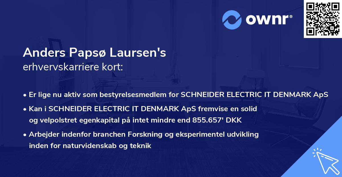 Anders Papsø Laursen's erhvervskarriere kort