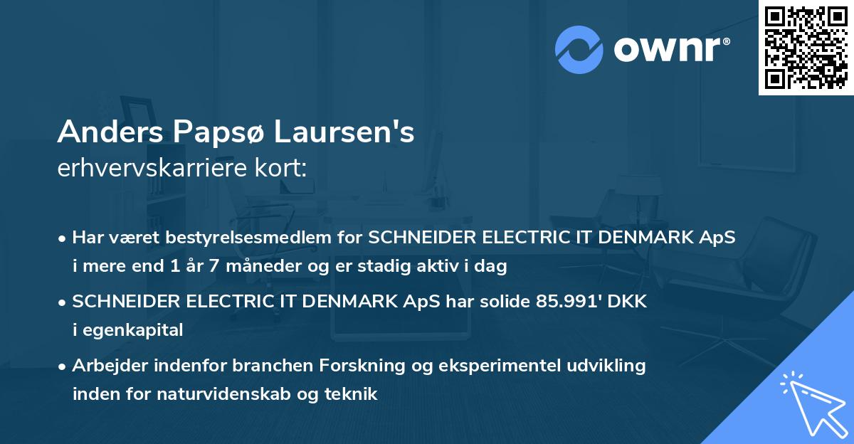 Anders Papsø Laursen's erhvervskarriere kort