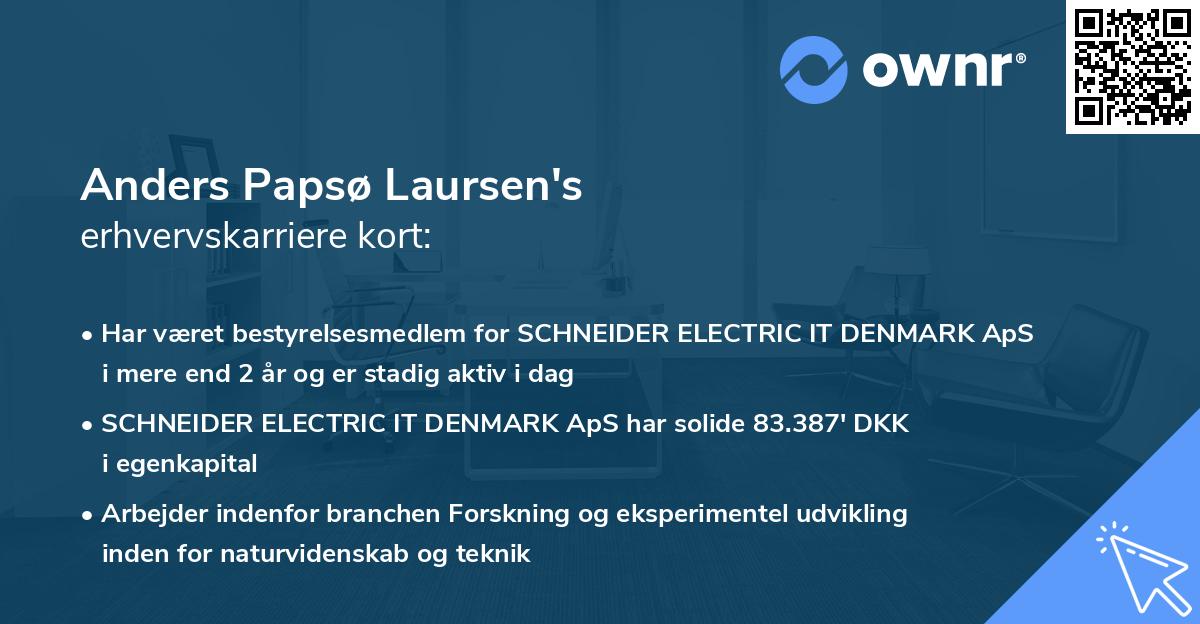 Anders Papsø Laursen's erhvervskarriere kort