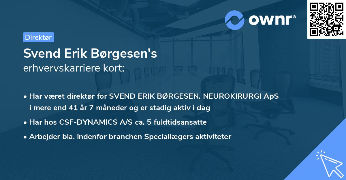 Svend Erik Børgesen's erhvervskarriere kort