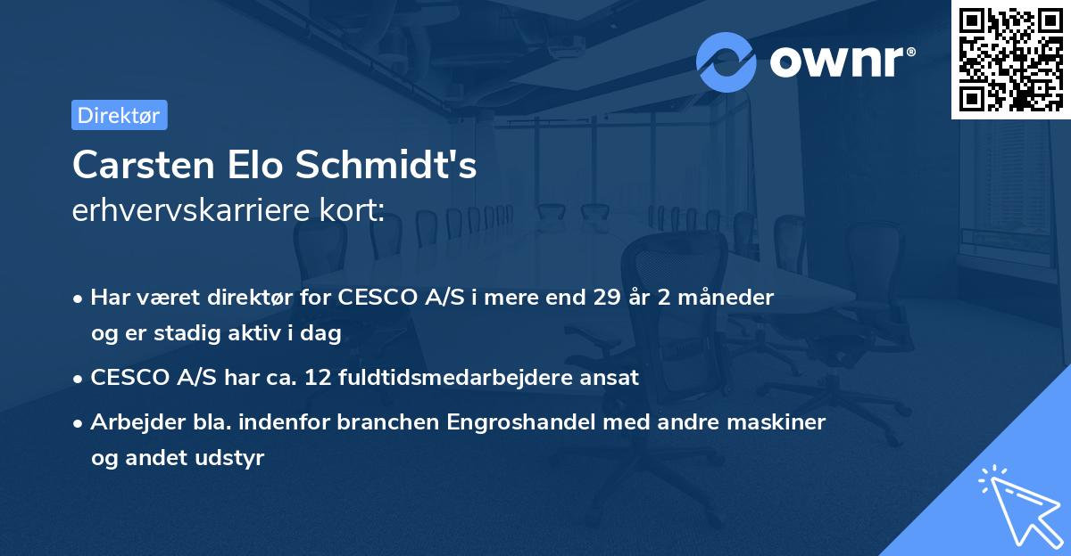 Carsten Elo Schmidt's erhvervskarriere kort