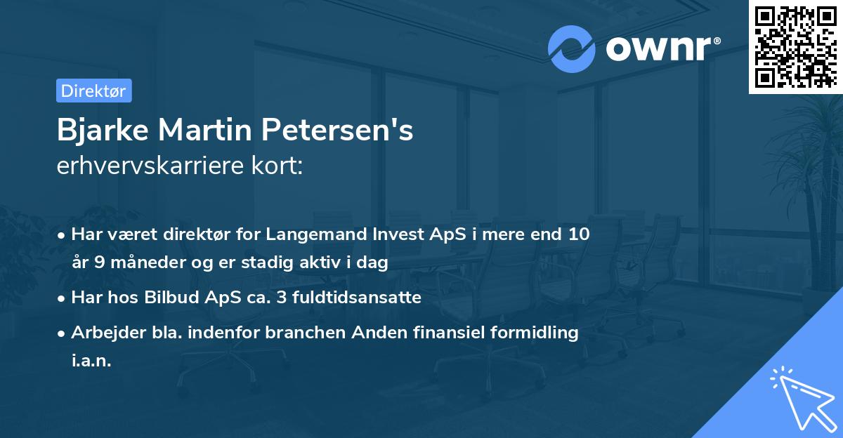 Bjarke Martin Petersen's erhvervskarriere kort