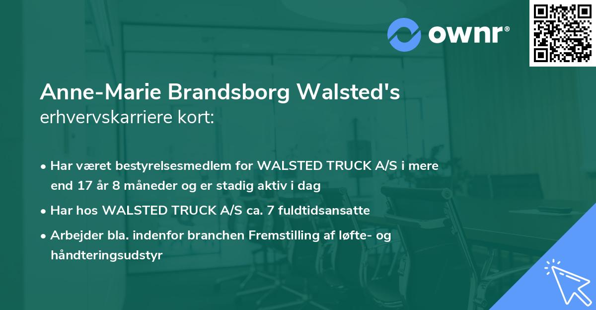 Anne-Marie Brandsborg Walsted's erhvervskarriere kort