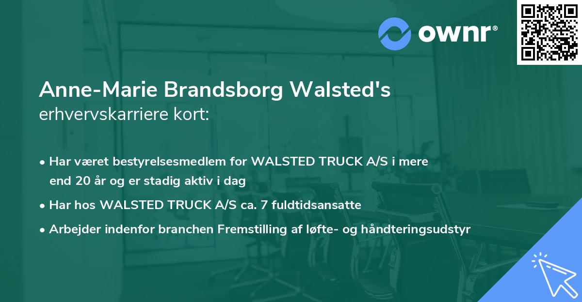 Anne-Marie Brandsborg Walsted's erhvervskarriere kort