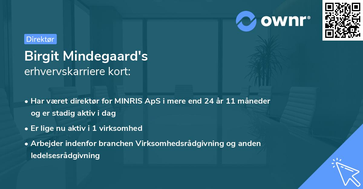 Birgit Mindegaard's erhvervskarriere kort