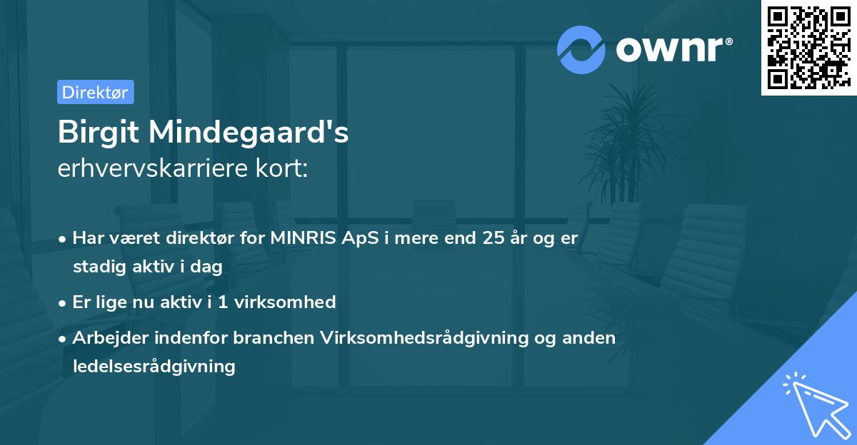 Birgit Mindegaard's erhvervskarriere kort