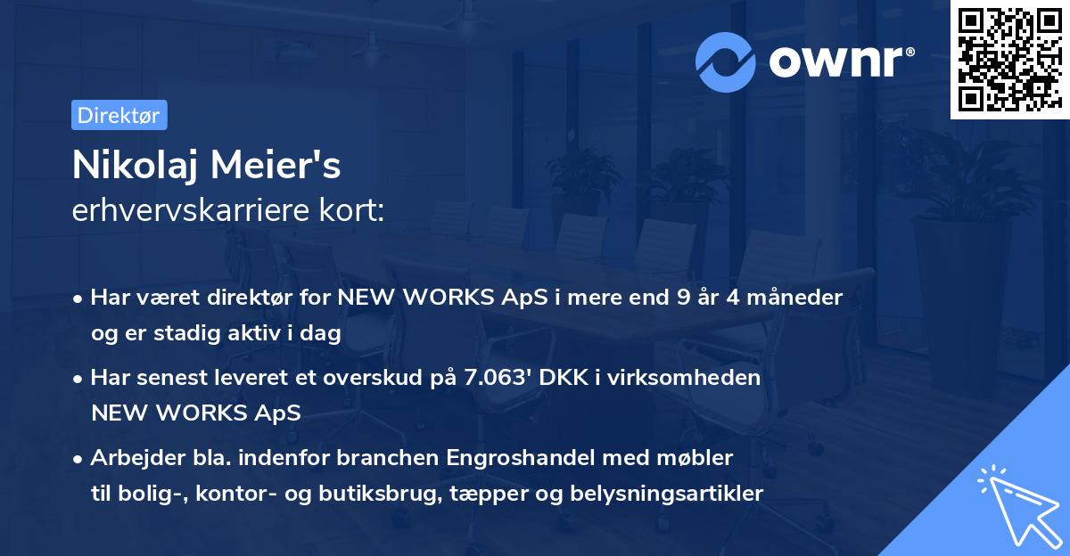 Nikolaj Meier's erhvervskarriere kort