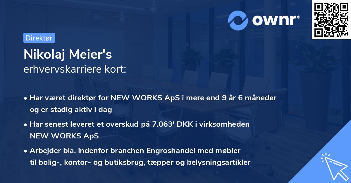 Nikolaj Meier's erhvervskarriere kort