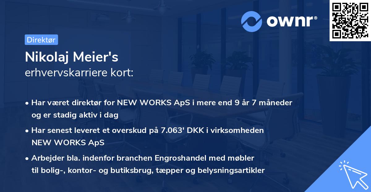 Nikolaj Meier's erhvervskarriere kort