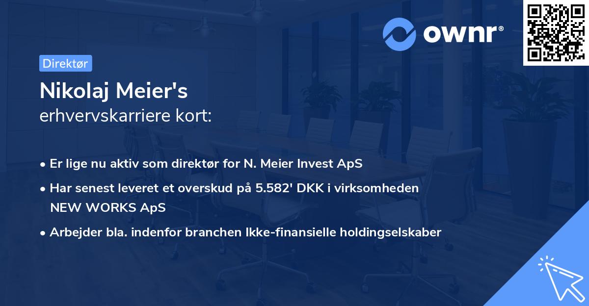 Nikolaj Meier's erhvervskarriere kort