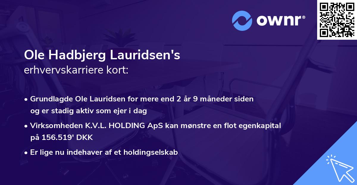 Ole Hadbjerg Lauridsen's erhvervskarriere kort