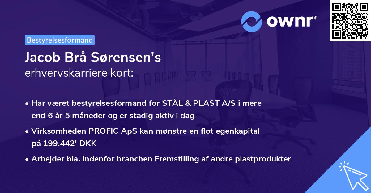 Jacob Brå Sørensen's erhvervskarriere kort