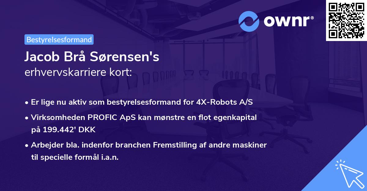 Jacob Brå Sørensen's erhvervskarriere kort