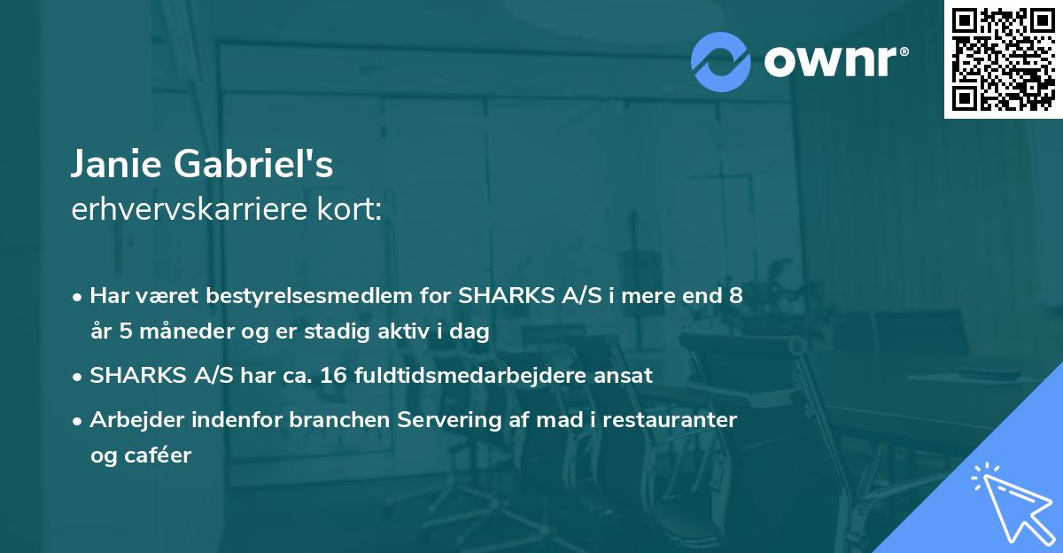 Janie Gabriel's erhvervskarriere kort