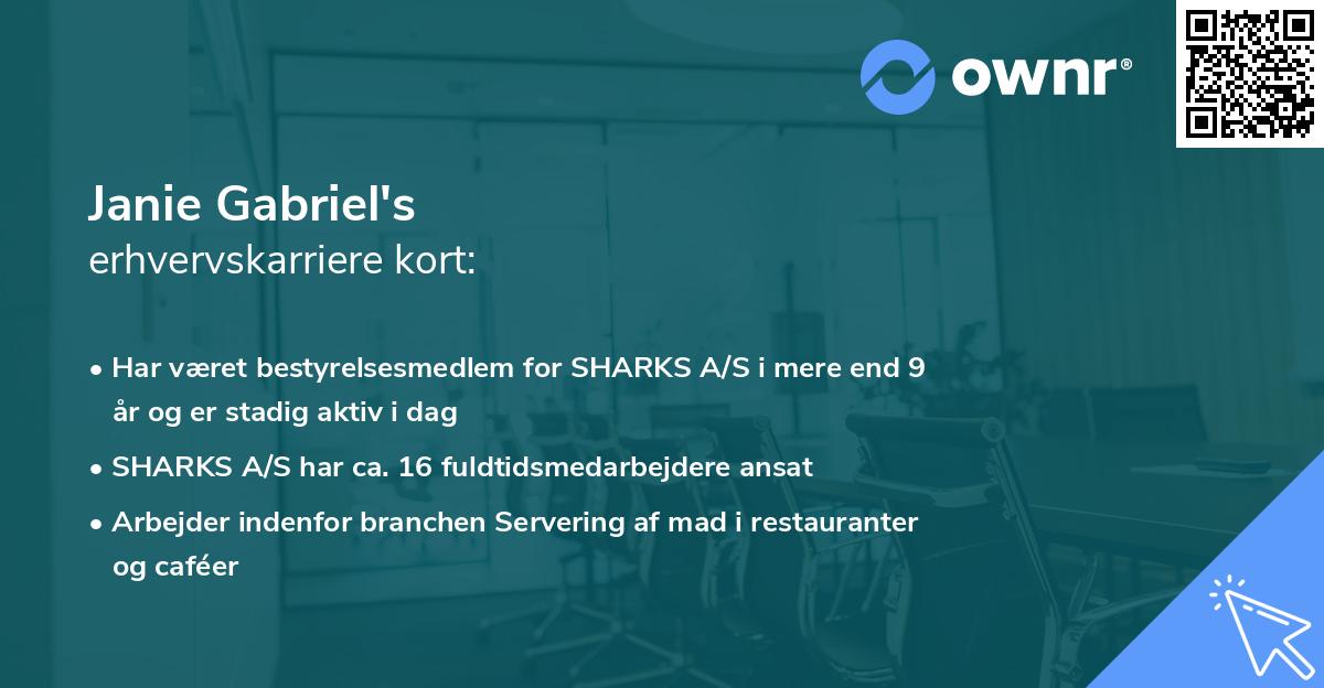 Janie Gabriel's erhvervskarriere kort
