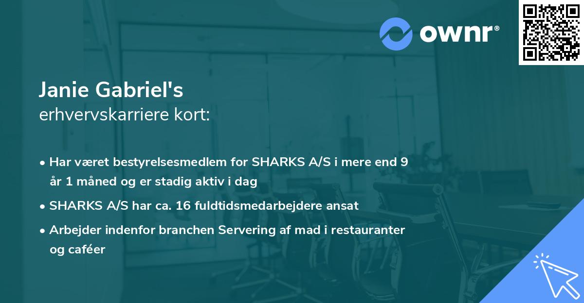 Janie Gabriel's erhvervskarriere kort