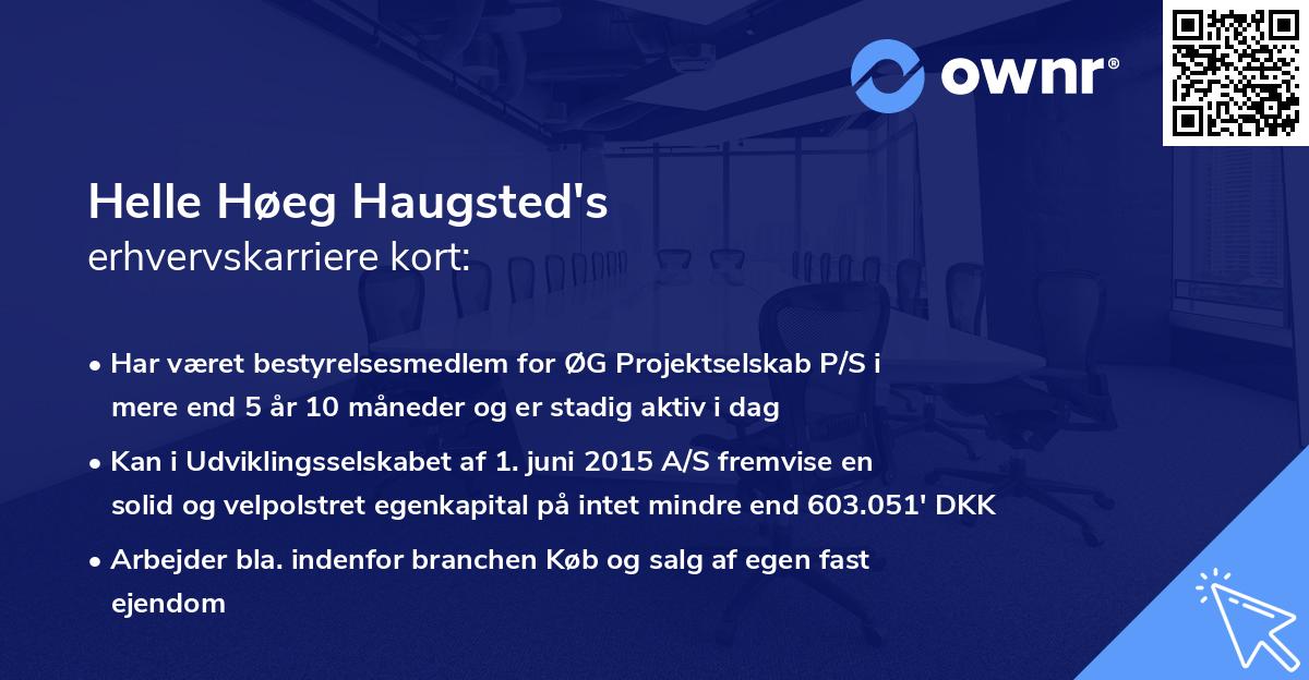Helle Høeg Haugsted's erhvervskarriere kort