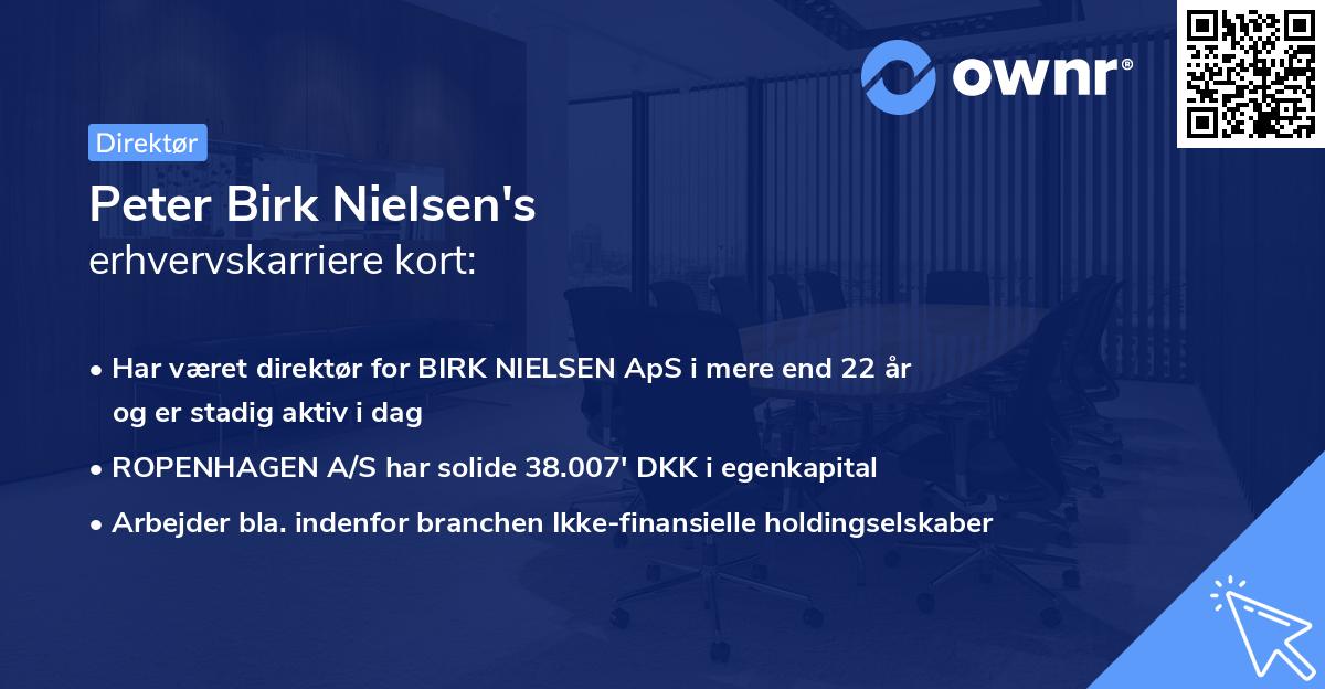 Peter Birk Nielsen's erhvervskarriere kort