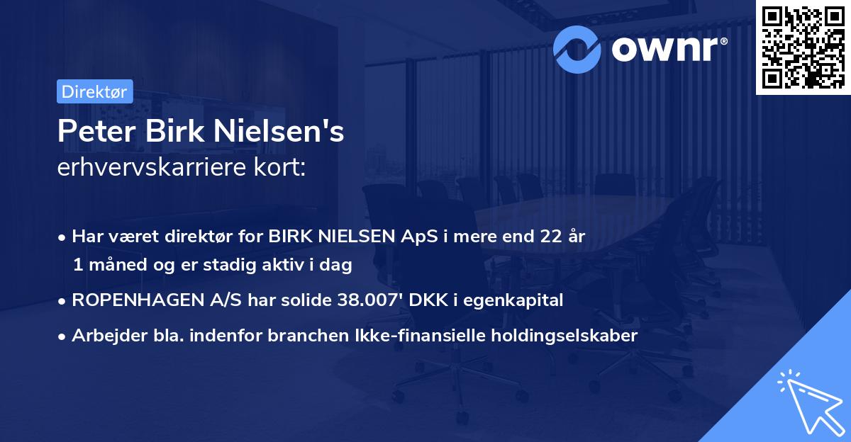 Peter Birk Nielsen's erhvervskarriere kort
