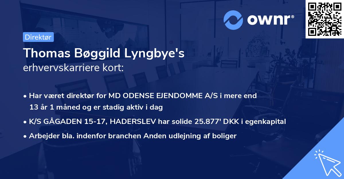 Thomas Bøggild Lyngbye's erhvervskarriere kort