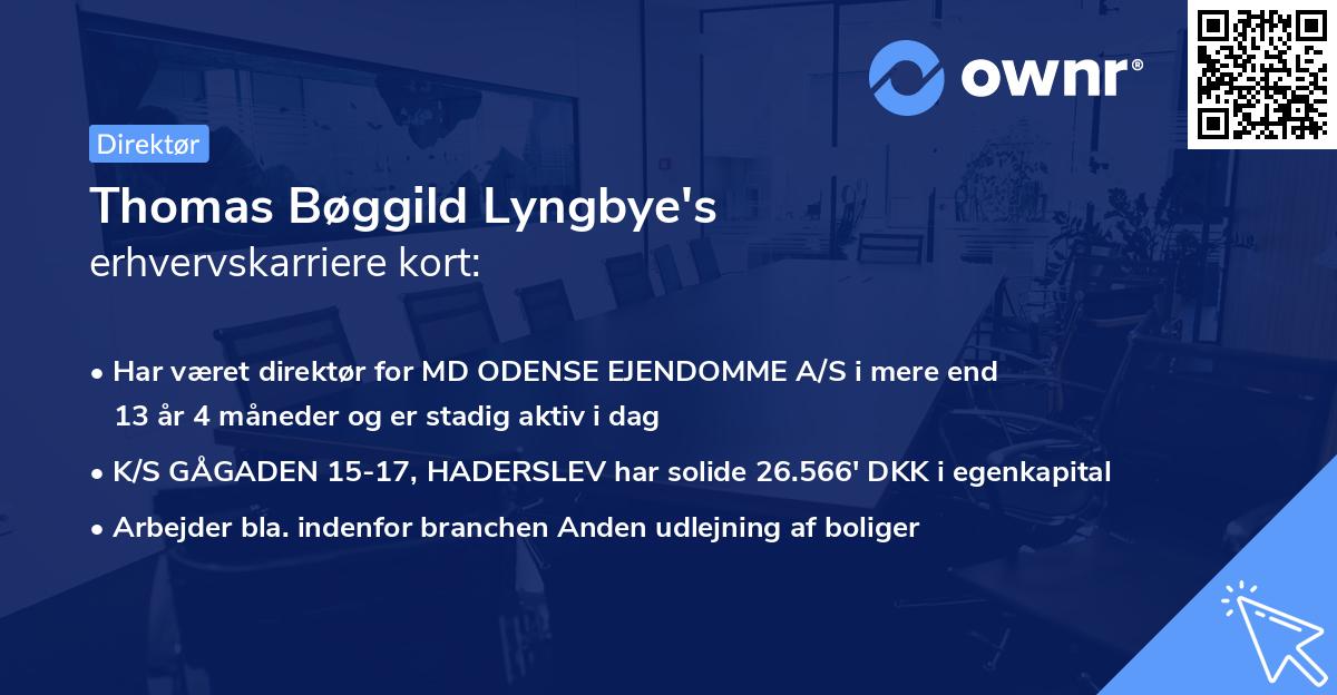Thomas Bøggild Lyngbye's erhvervskarriere kort