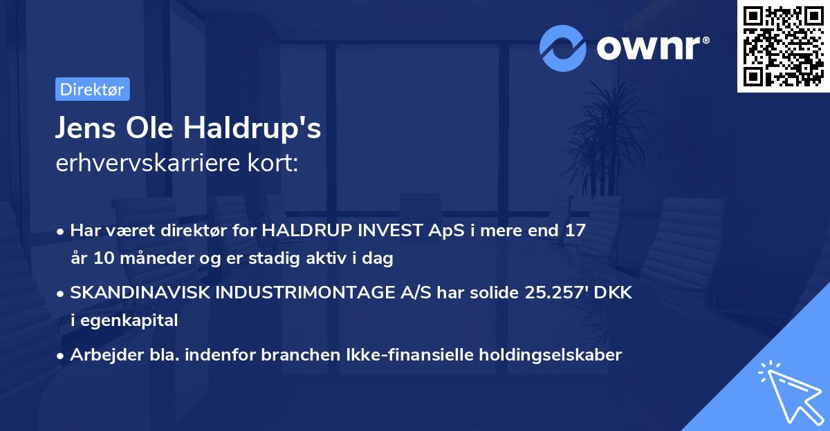 Jens Ole Haldrup's erhvervskarriere kort