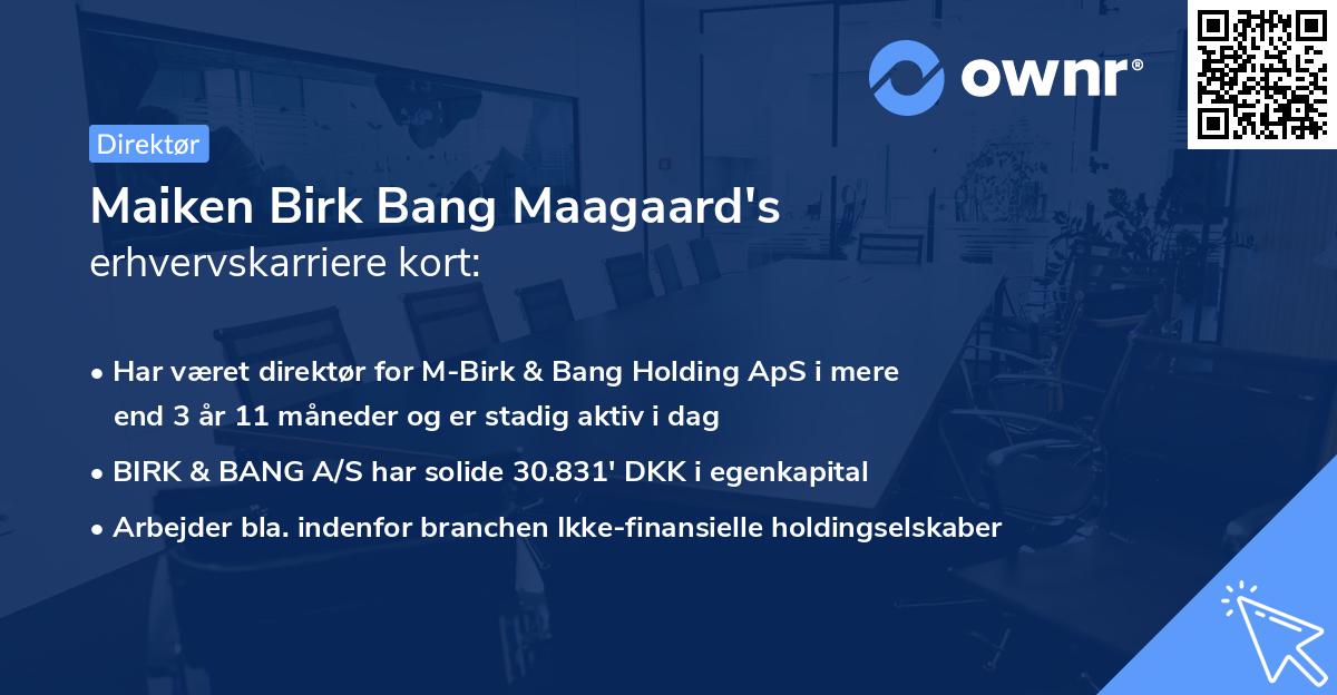 Maiken Birk Bang Maagaard's erhvervskarriere kort