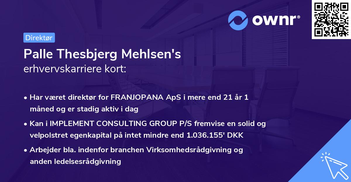 Palle Thesbjerg Mehlsen's erhvervskarriere kort