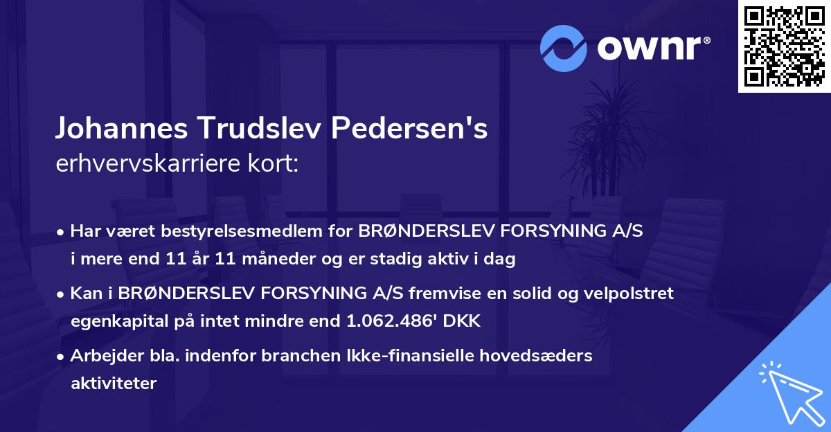 Johannes Trudslev Pedersen's erhvervskarriere kort