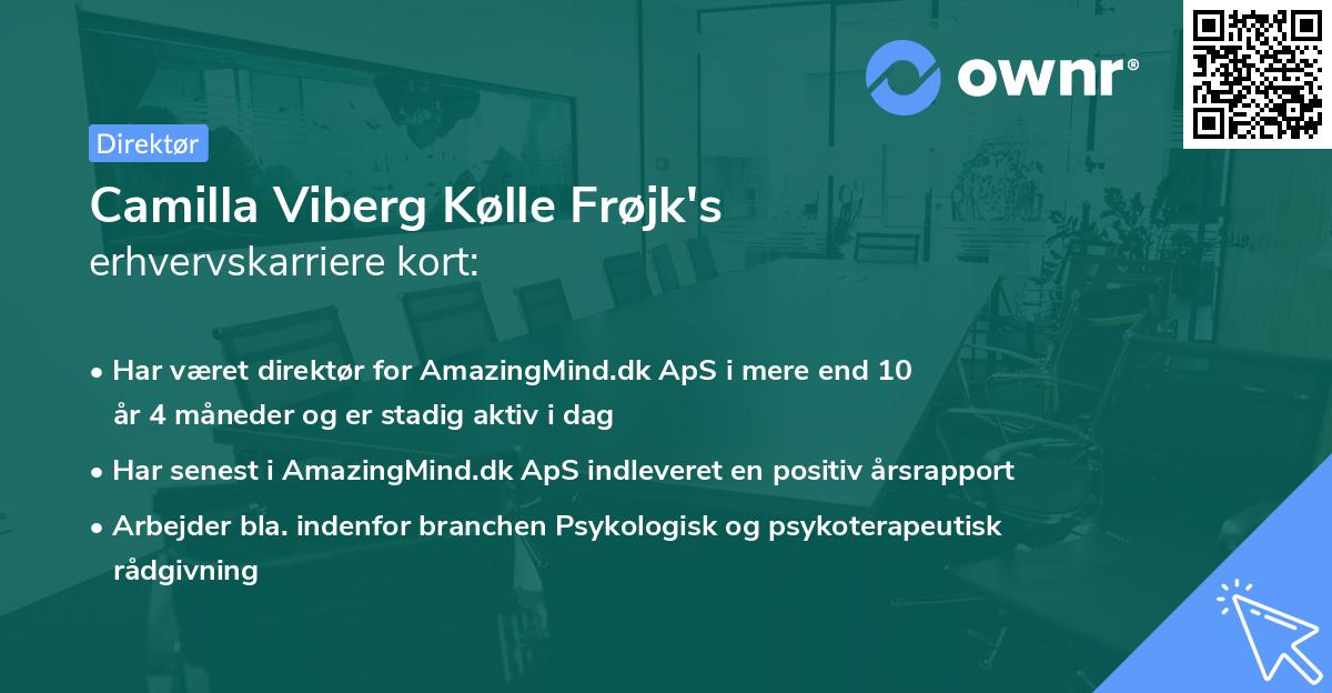 Camilla Viberg Kølle Frøjk's erhvervskarriere kort