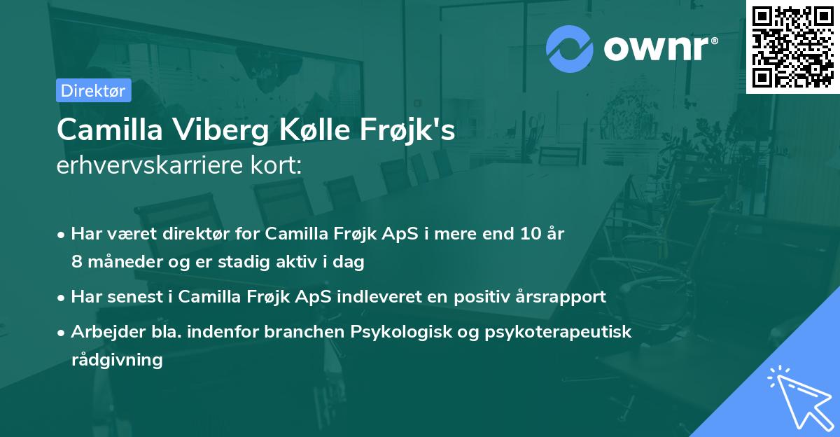 Camilla Viberg Kølle Frøjk's erhvervskarriere kort