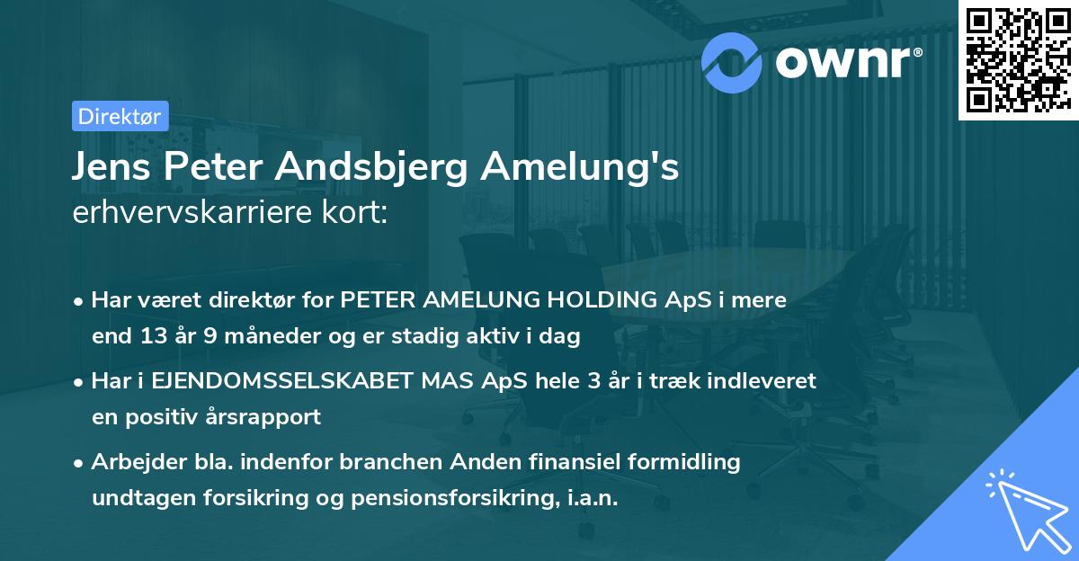 Jens Peter Andsbjerg Amelung's erhvervskarriere kort