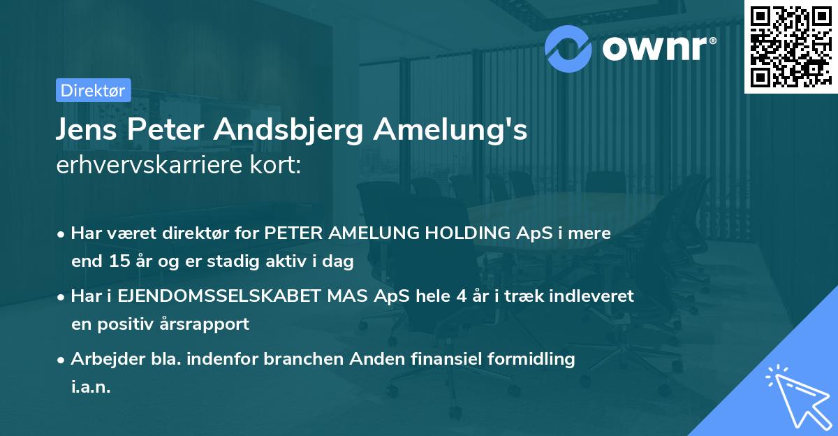 Jens Peter Andsbjerg Amelung's erhvervskarriere kort