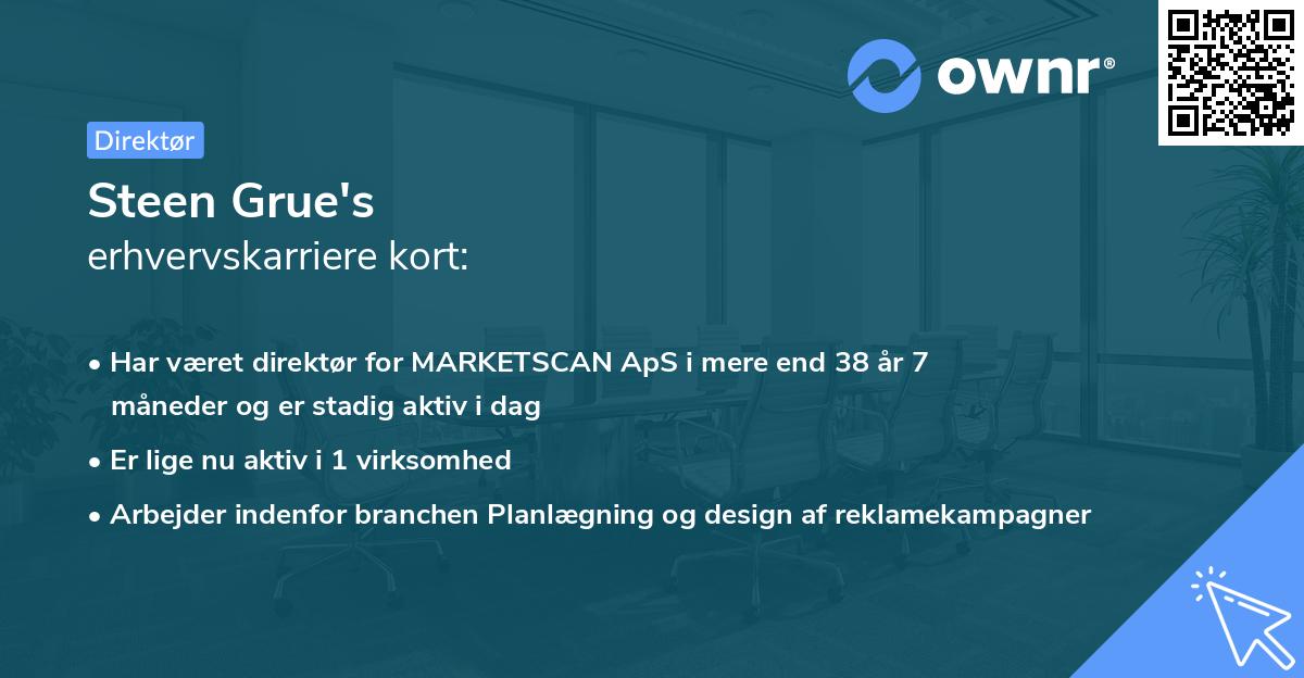 Steen Grue's erhvervskarriere kort