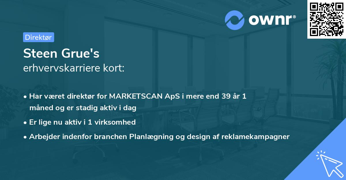 Steen Grue's erhvervskarriere kort
