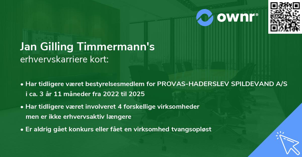 Jan Gilling Timmermann's erhvervskarriere kort