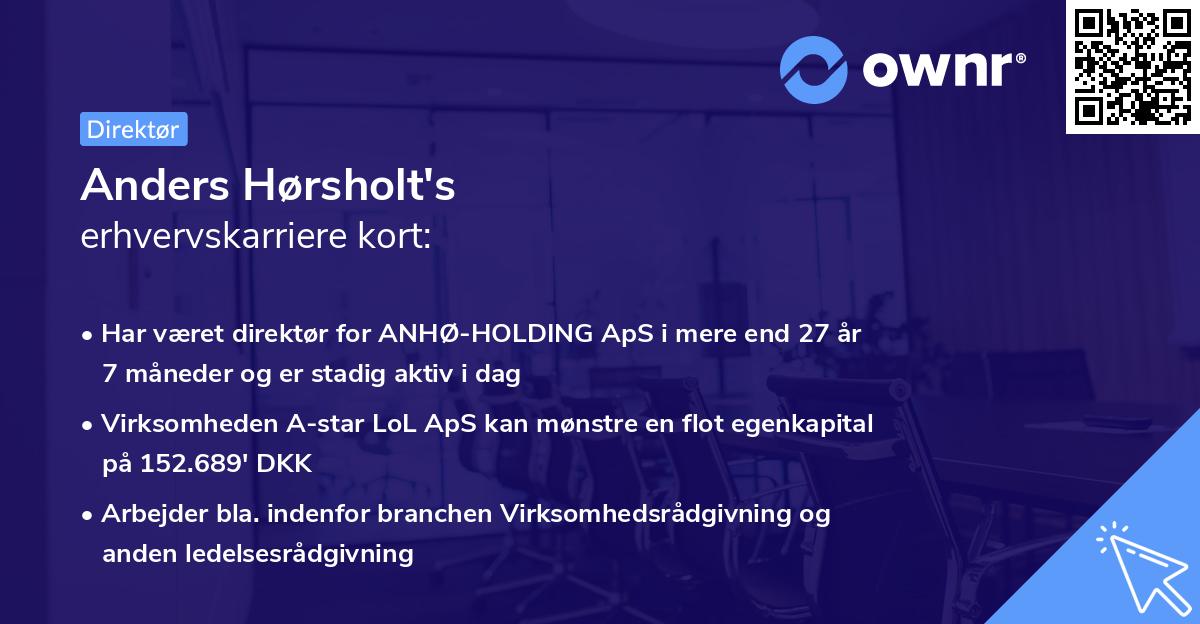 Anders Hørsholt's erhvervskarriere kort