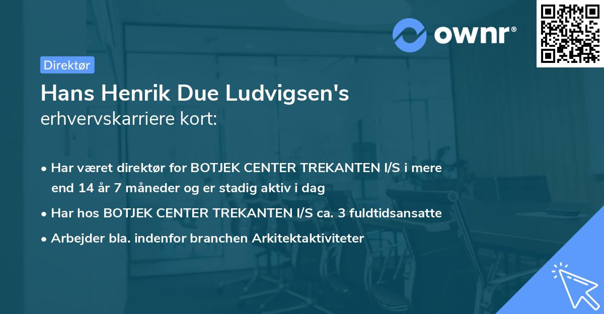 Hans Henrik Due Ludvigsen's erhvervskarriere kort