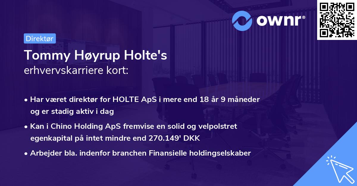 Tommy Høyrup Holte's erhvervskarriere kort