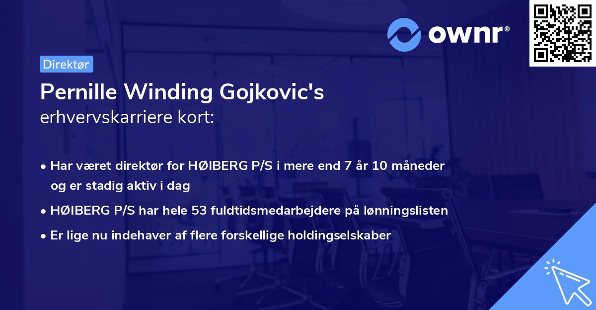 Pernille Winding Gojkovic's erhvervskarriere kort