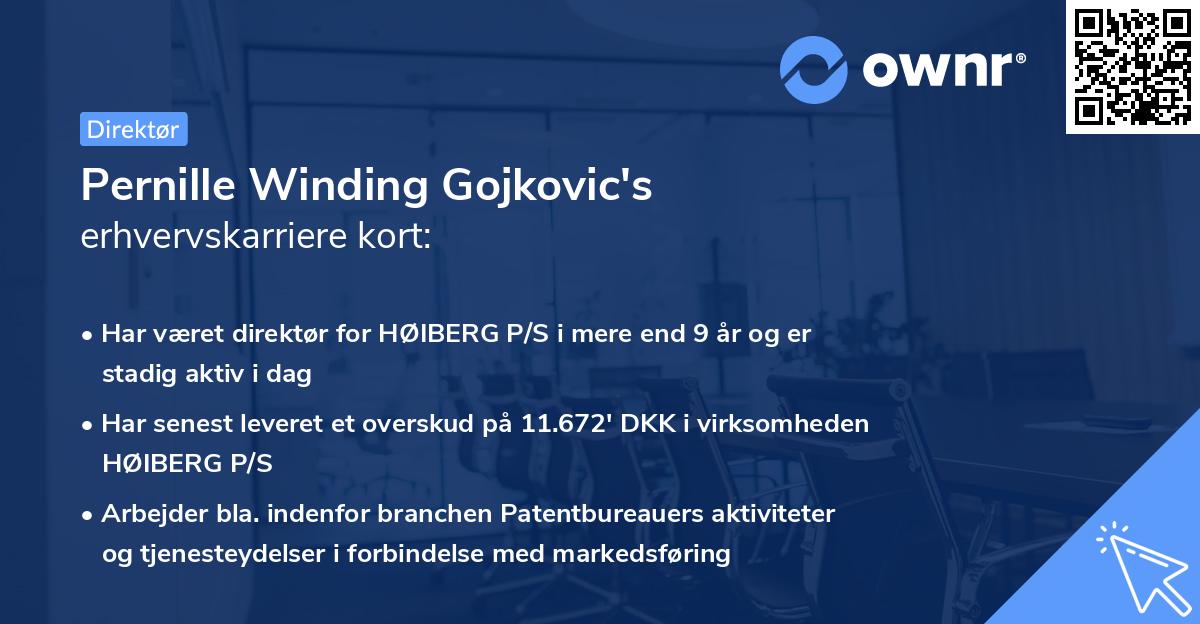 Pernille Winding Gojkovic's erhvervskarriere kort