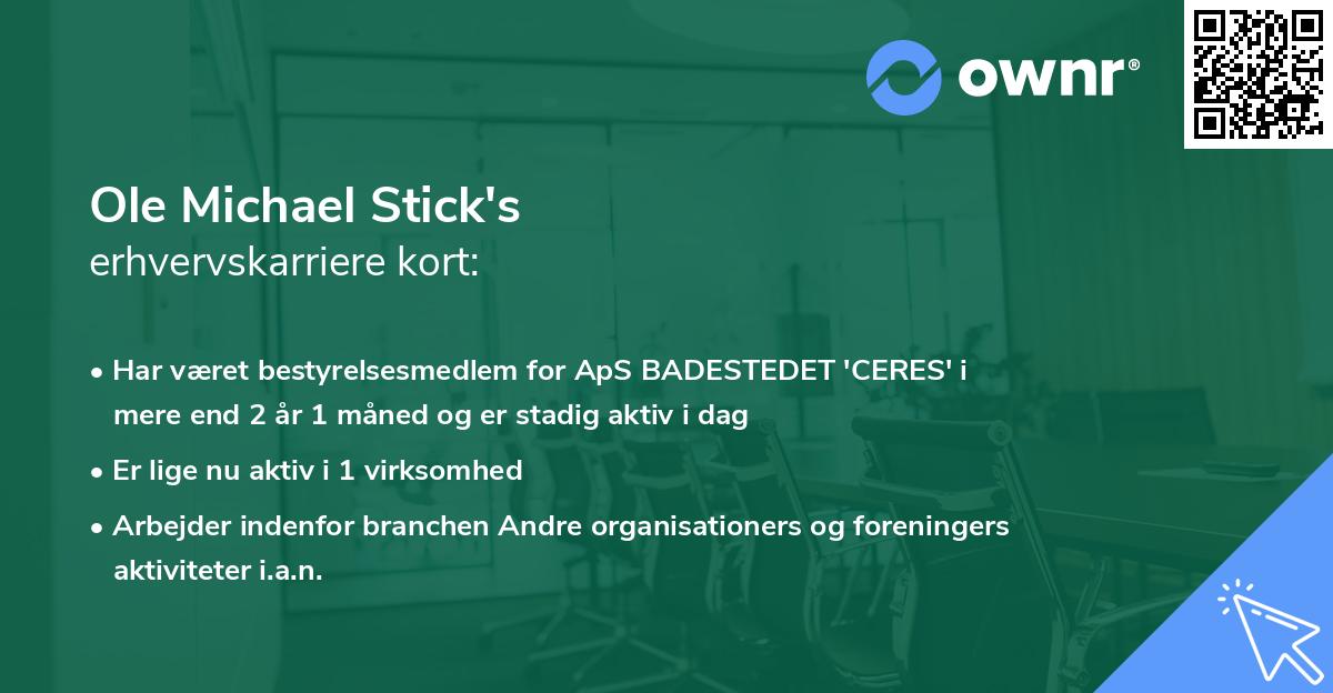 Ole Michael Stick's erhvervskarriere kort