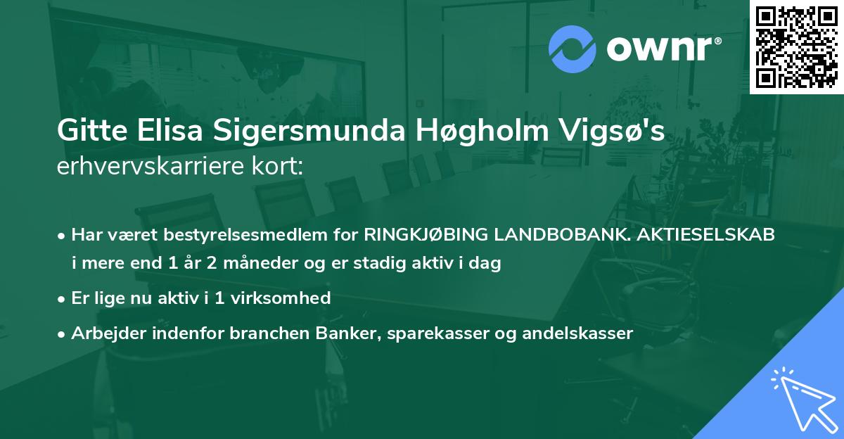 Gitte Elisa Sigersmunda Høgholm Vigsø's erhvervskarriere kort