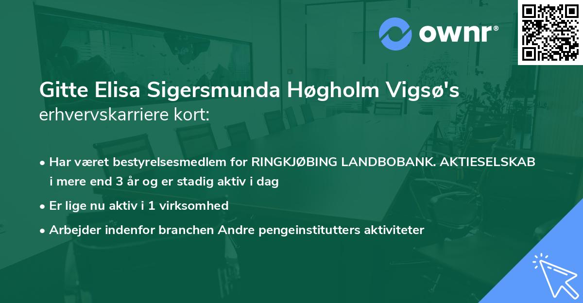 Gitte Elisa Sigersmunda Høgholm Vigsø's erhvervskarriere kort