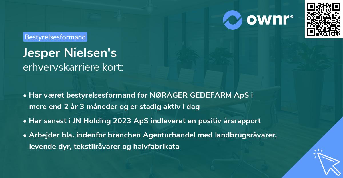 Jesper Nielsen's erhvervskarriere kort