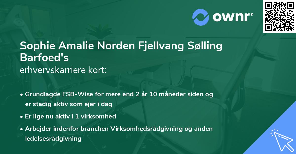 Sophie Amalie Norden Fjellvang Sølling Barfoed's erhvervskarriere kort