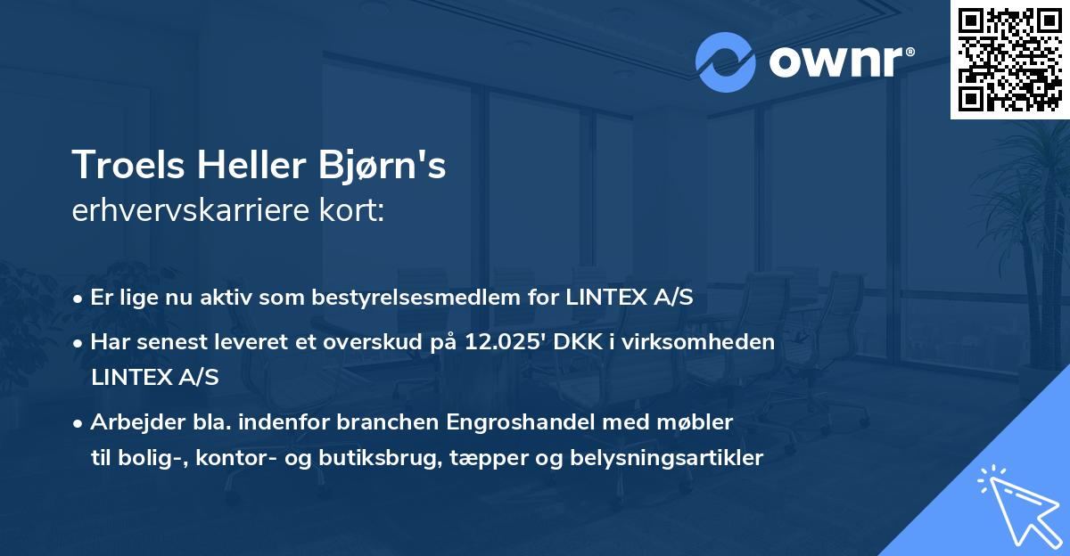 Troels Heller Bjørn's erhvervskarriere kort